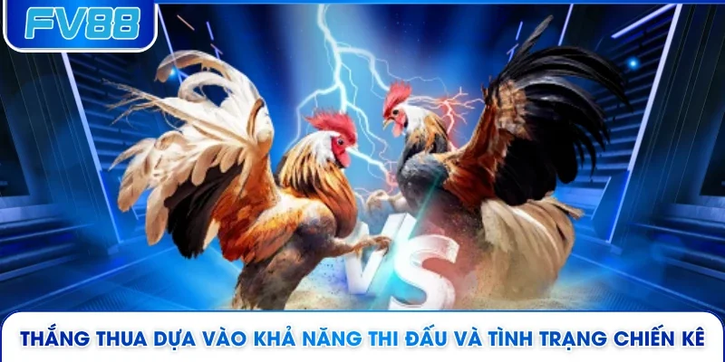 Thắng thua dựa vào khả năng thi đấu và tình trạng chiến kê