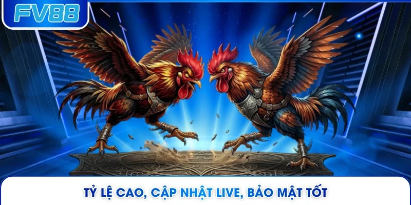 Tỷ lệ cao, cập nhật live, bảo mật tốt 
