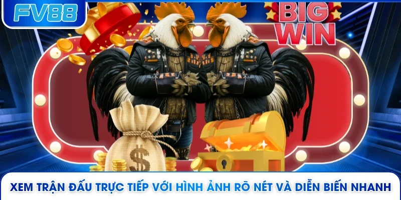 Xem trận đấu trực tiếp với hình ảnh rõ nét và diễn biến nhanh